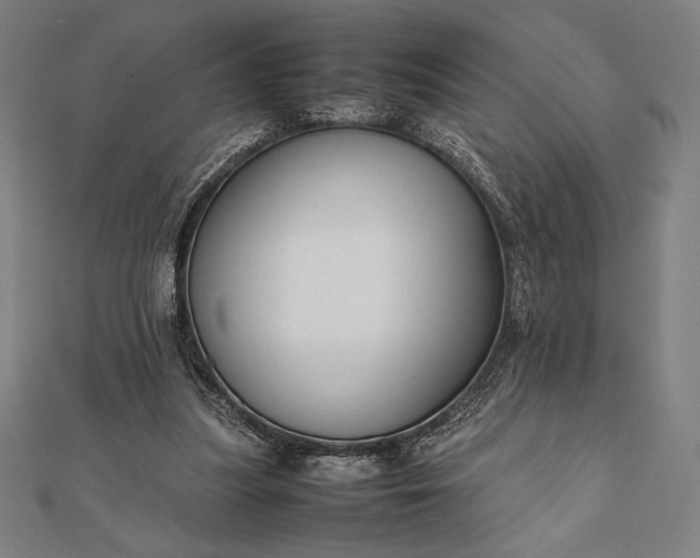 X0000112050251200908181142