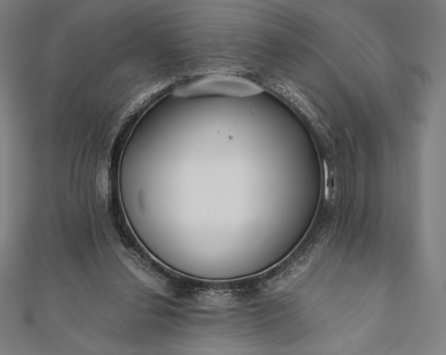 X0000112050252200908181142