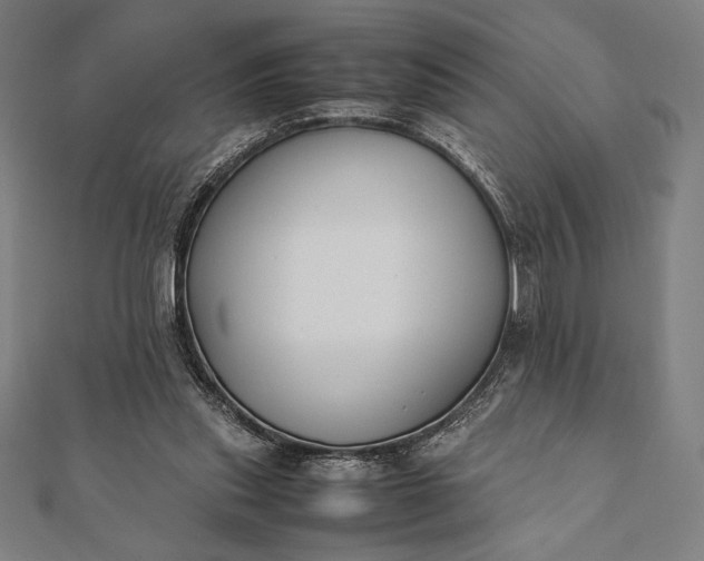 X0000112050253200908181142