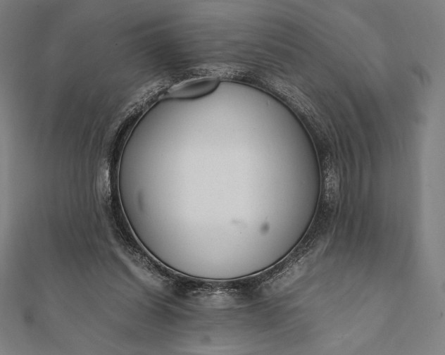 X0000112050254200908181142