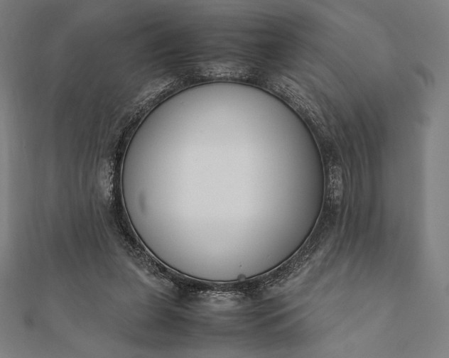 X0000112050255200908181142