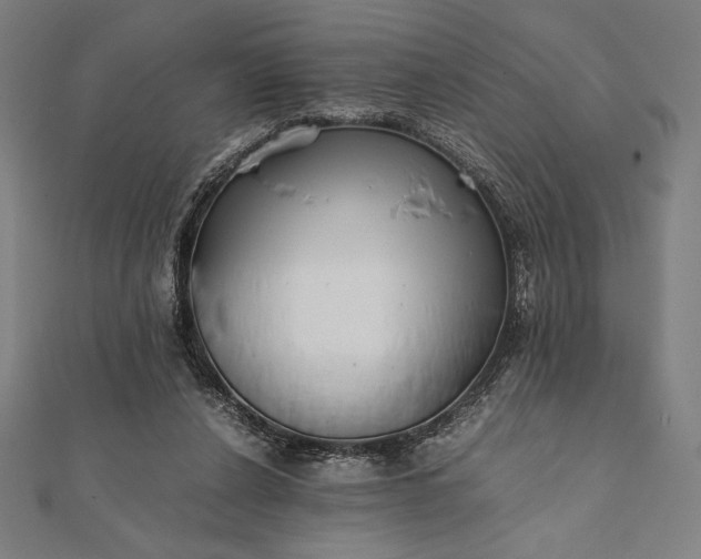 X0000112050256200908181142