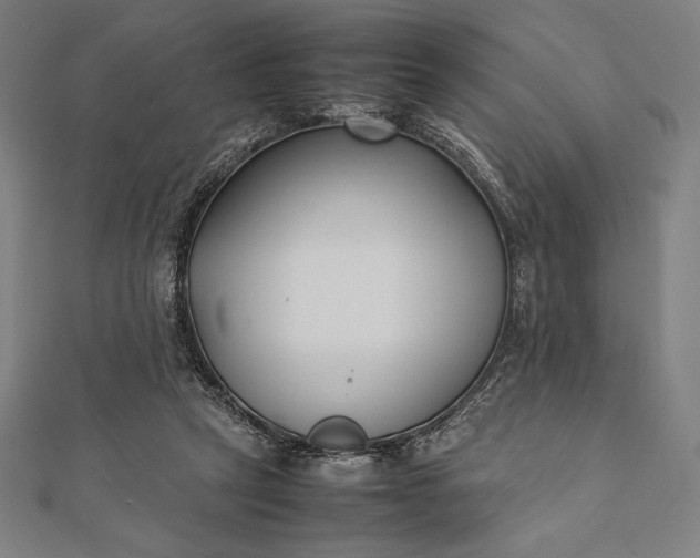 X0000112050257200908181142