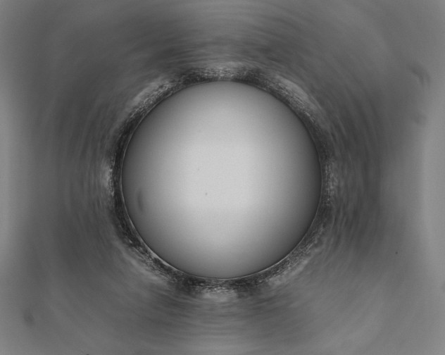 X0000112050258200908181142