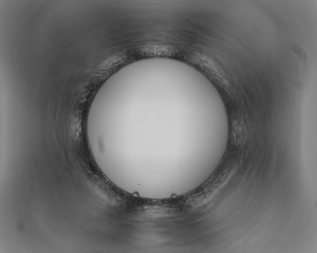 X0000112050259200908181142