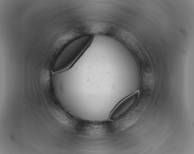 X0000112050260200908181142