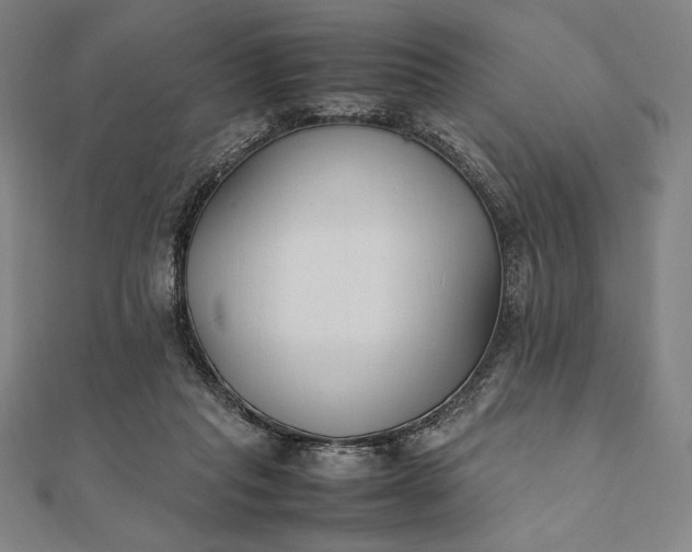 X0000112050261200908181142