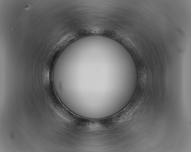 X0000112050262200908181142