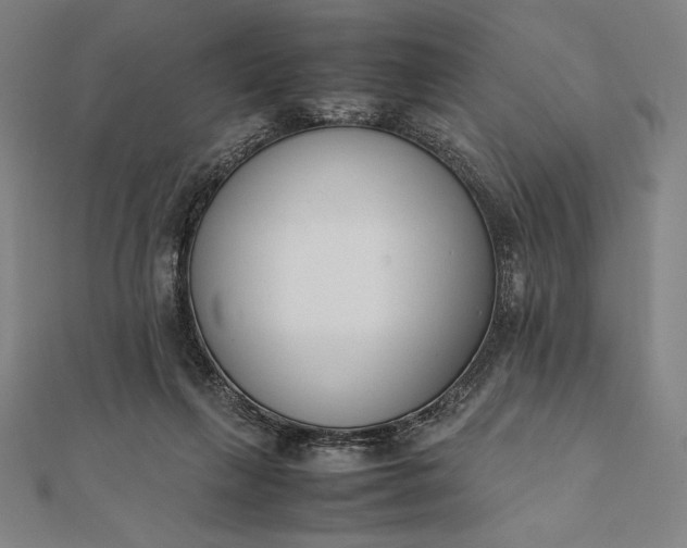 X0000112050263200908181142