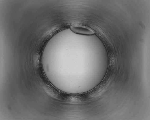 X0000112050264200908181142