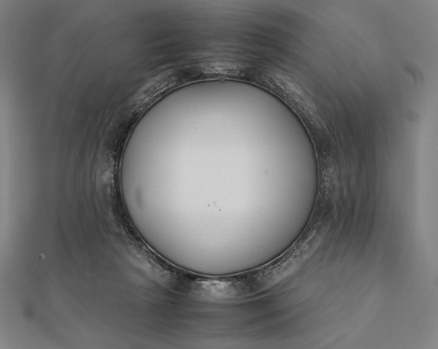 X0000112050265200908181142