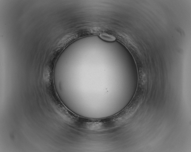 X0000112050266200908181142