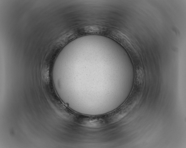 X0000112050267200908181142