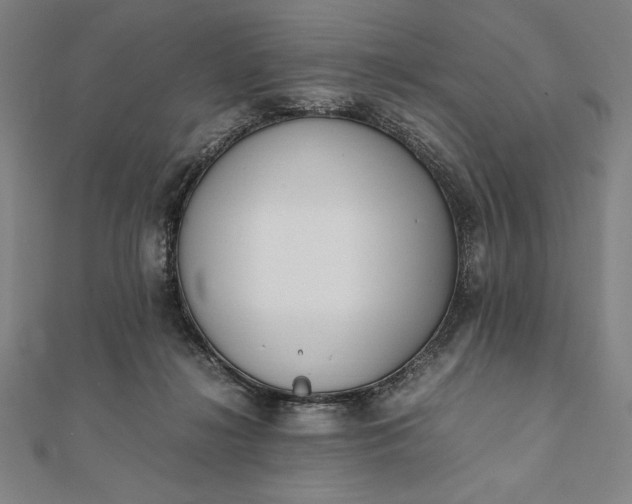 X0000112050268200908181142