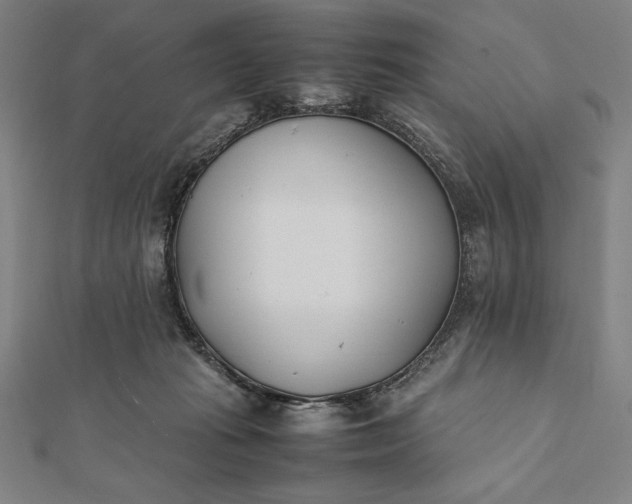 X0000112050269200908181142