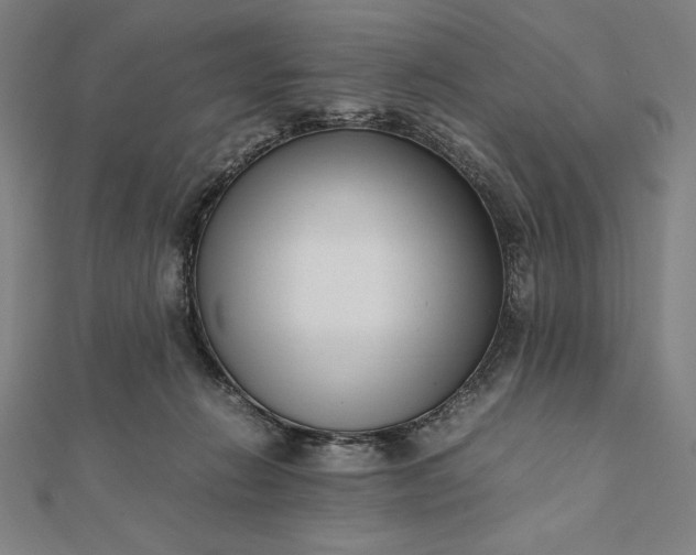 X0000112050270200908181142