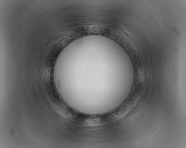 X0000112050271200908181143