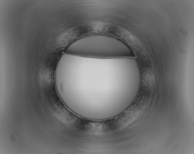 X0000112050272200908181143