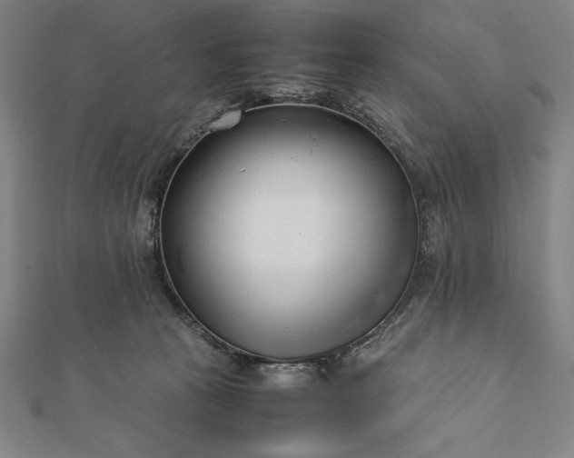 X0000112050273200908181143