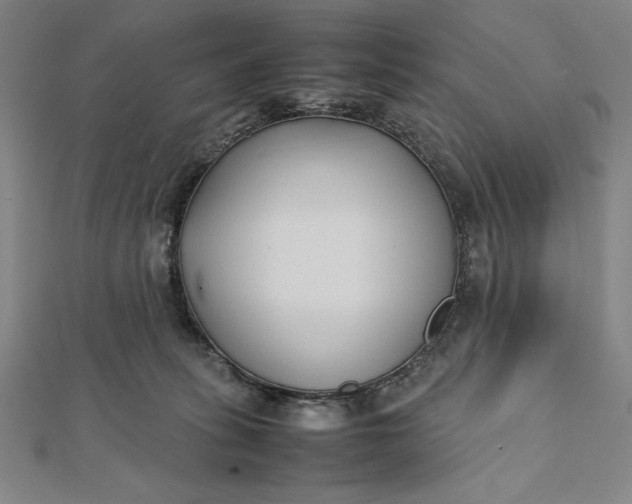 X0000112050275200908181143