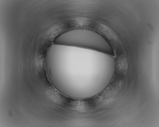 X0000112050276200908181143