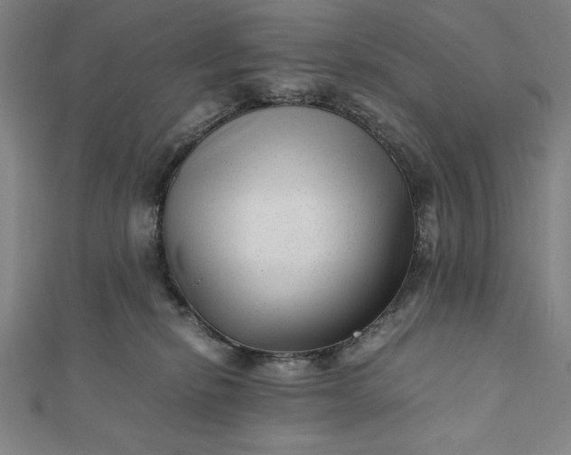 X0000112050278200908181143