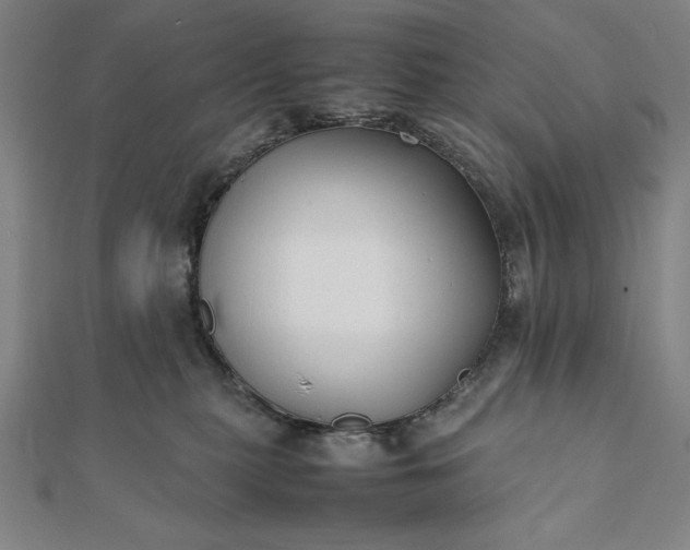 X0000112050279200908181143