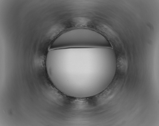 X0000112050280200908181143