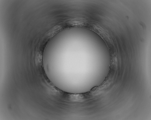 X0000112050281200908181143