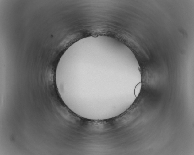 X0000112050282200908181143