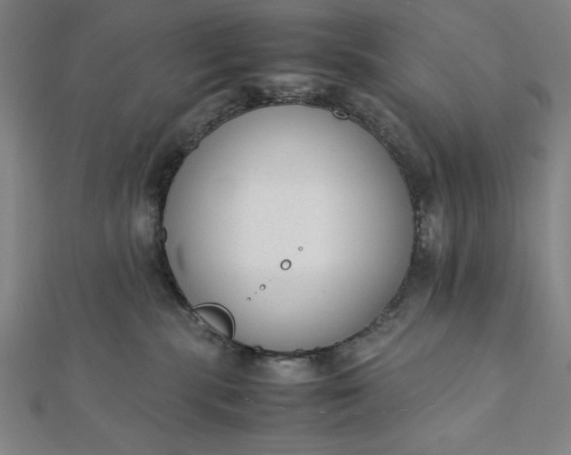 X0000112050283200908181143