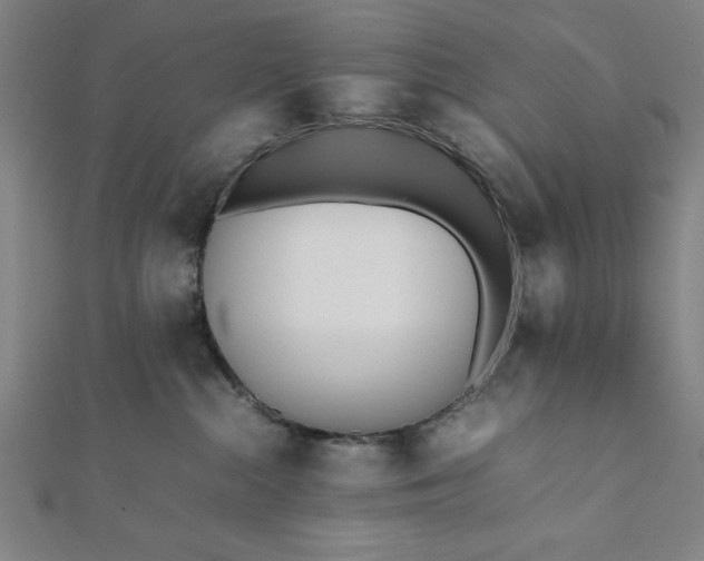 X0000112050284200908181143