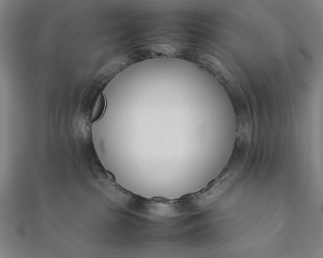 X0000112050285200908181143