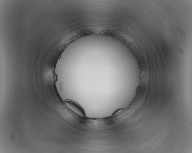 X0000112050286200908181143