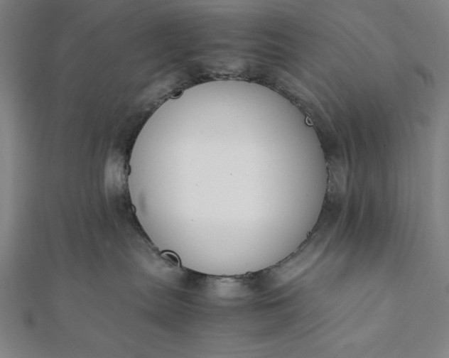 X0000112050287200908181143