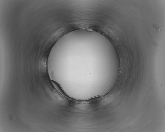 X0000112050288200908181143