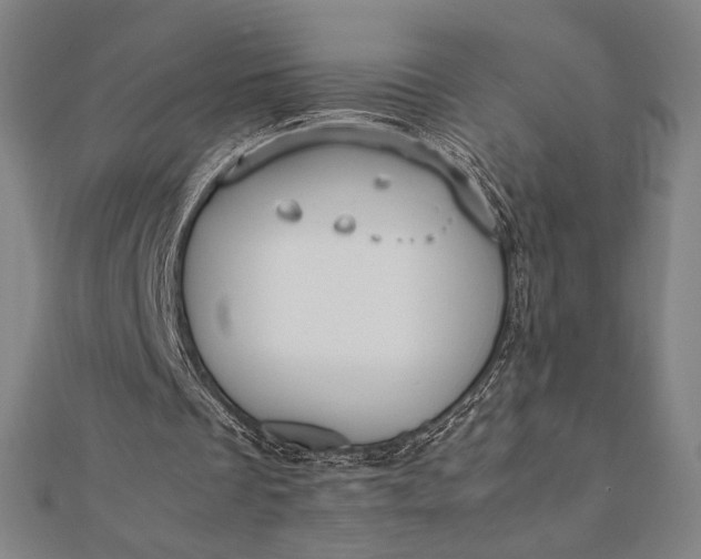 X0000112050289200908181142