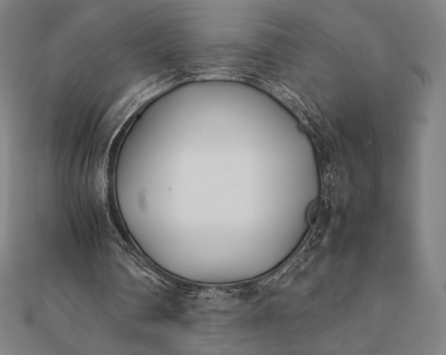 X0000112050290200908181142