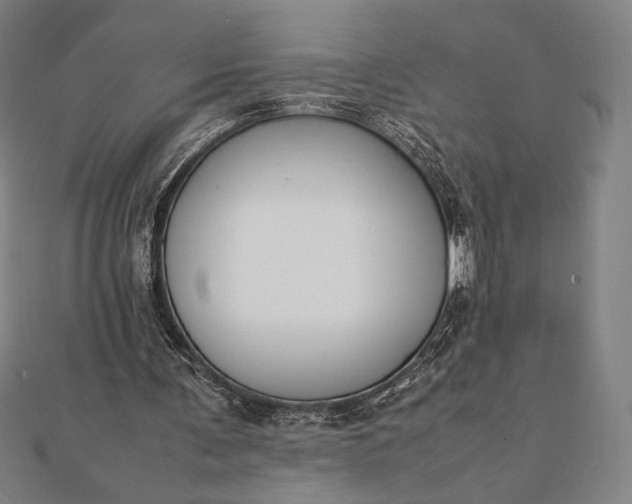 X0000112050291200908181142