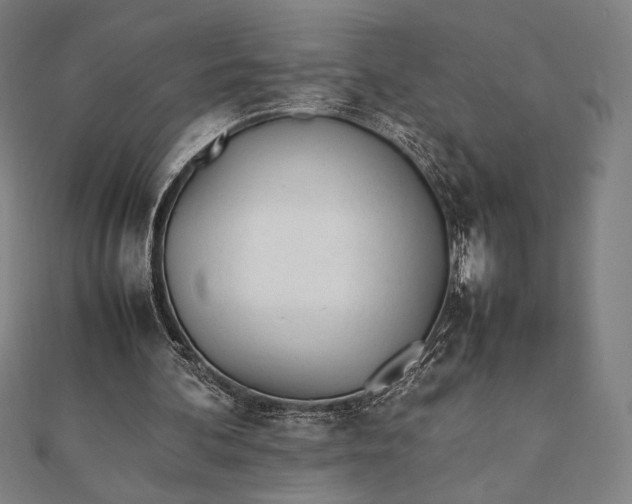 X0000112050292200908181142