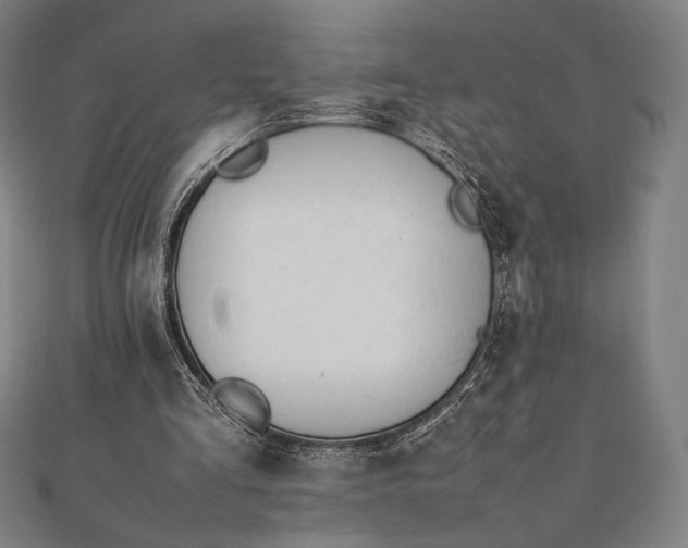 X0000112050293200908181142