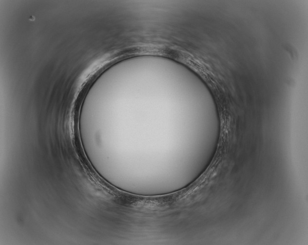 X0000112050294200908181142