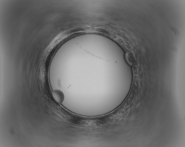 X0000112050295200908181142