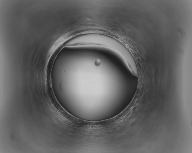 X0000112050296200908181142