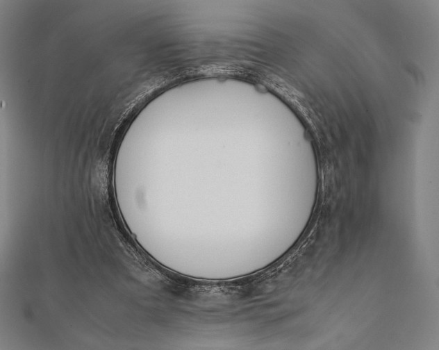 X0000112050297200908181142