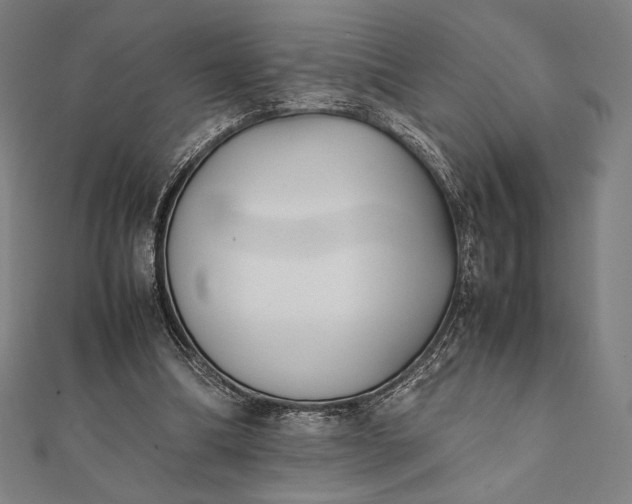 X0000112050298200908181142