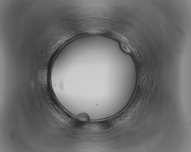 X0000112050299200908181142