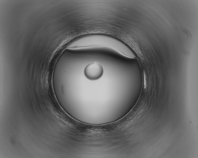 X0000112050300200908181142