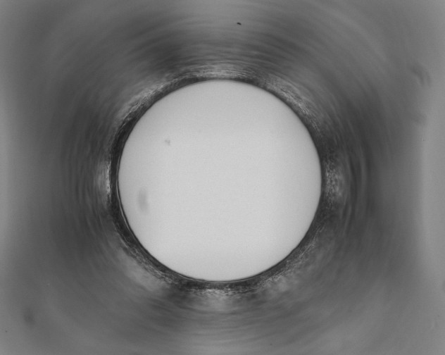 X0000112050302200908181142