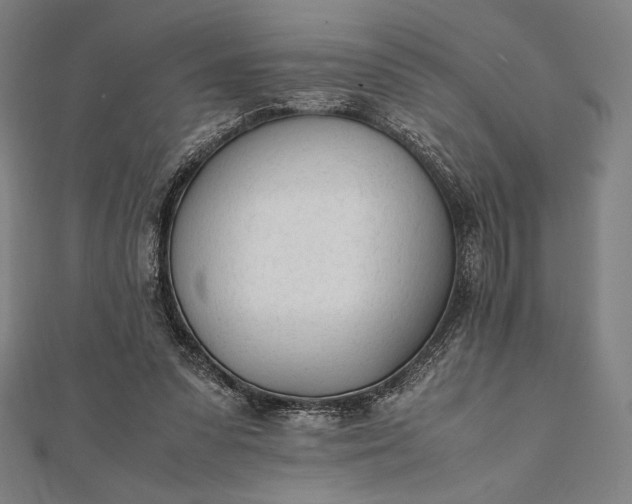 X0000112050303200908181142